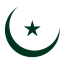 SINDM stock logo