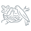 NESTLE Nestle Pakistan Ltd stock logo