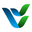 LSEVL LSE Ventures Ltd stock logo