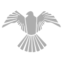 ACPL stock logo ACPL stock logo