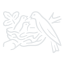 NESTLE Nestle Pakistan Ltd stock logo